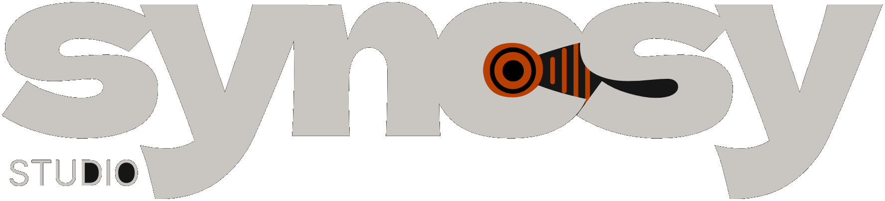 Syncsy Studio